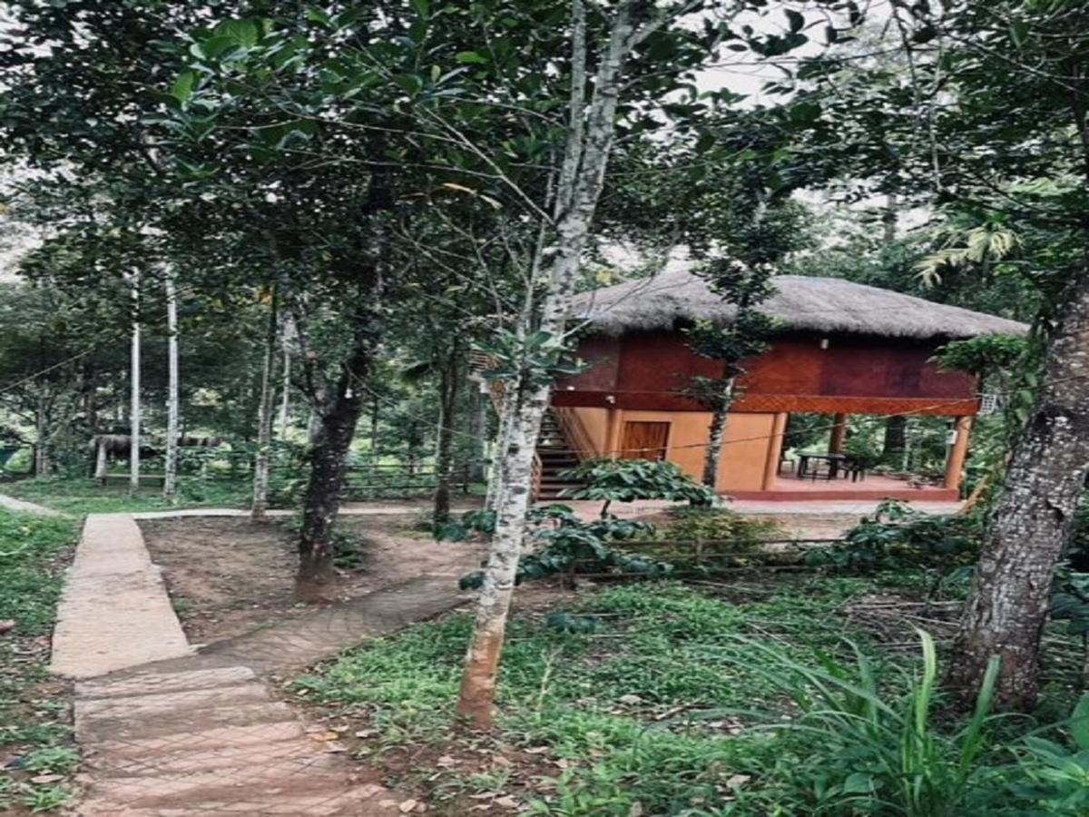 Kuruva Shoreline Wayanad Chegat ภายนอก รูปภาพ